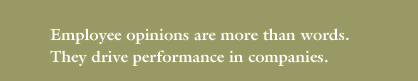 Employee opinions are more than words.
They drive performance in companies.